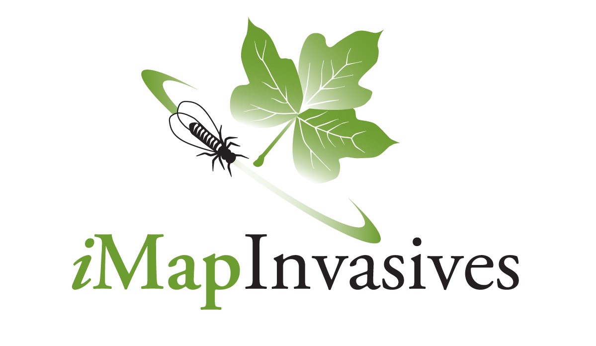 iMapInvasives Logo